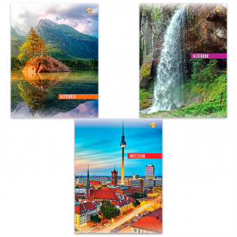 Купить Книга канцелярская А4, 96 л., клетка (офсет) Тетрада оптом
